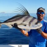 Roosterfish-La-Paz